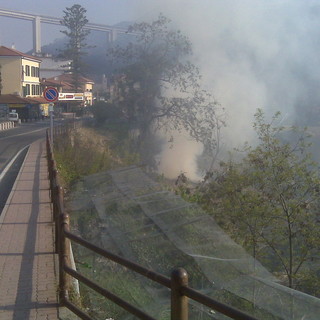 Sanremo: piccolo incendio di un canneto in Valle Armea, intervento dei Vigili del Fuoco