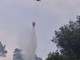 Vasia: incendio boschivo in atto, sul posto Vigili del Fuoco, volontari e un elicottero
