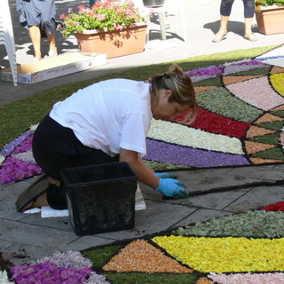 Santo Stefano al Mare: le foto e il commento dell'infiorata di quest'oggi