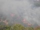 Imperia: devastante incendio sulla collina di Costa d'Oneglia, intervento di Vigili del Fuoco ed elicotteri (Foto e video)