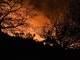 Le immagini dell'incendio