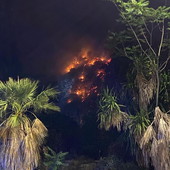 Ventimiglia: incendio boschivo al confine italo-francese di Grimaldi, notte di lavoro dei Vigili del Fuoco