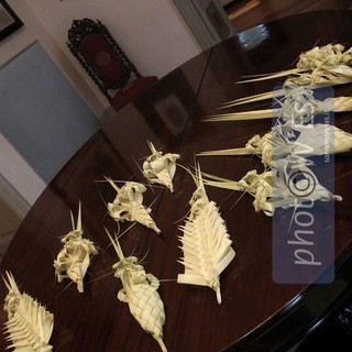 Bordighera:30 posti per il corso d'intreccio per i palmureli