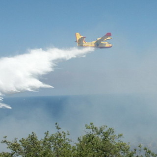 Spento l'incendio divampato stamani a Ceriana, mezzi aerei rientrati e bonifica in corso