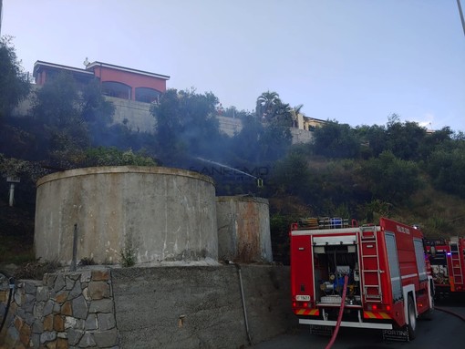 Le immagini da strada degli Olandesi