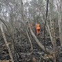 Incendi, Simonetti e Casella (AVS): "Ripristinare il divieto di accendere fuochi nel ponente ligure" Incendi, Simonetti e Casella (AVS): "Ripristinare il divieto di accendere fuochi nel ponente ligure"