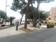 &quot;Borgo Marina ha fame di parcheggi&quot;: l'appello dei commercianti all'amministrazione dalla Marina di Porto Maurizio