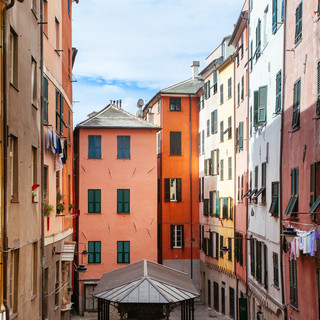 Servizio Civile Digitale, a Imperia un posto con Confcooperative