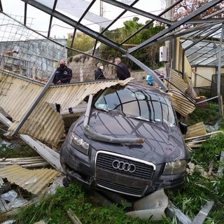 Ventimiglia: perde il controllo dell'auto e finisce in una serra a Pedaigo, anziano lievemente ferito Ventimiglia: perde il controllo dell'auto e finisce in una serra a Pedaigo, anziano lievemente ferito