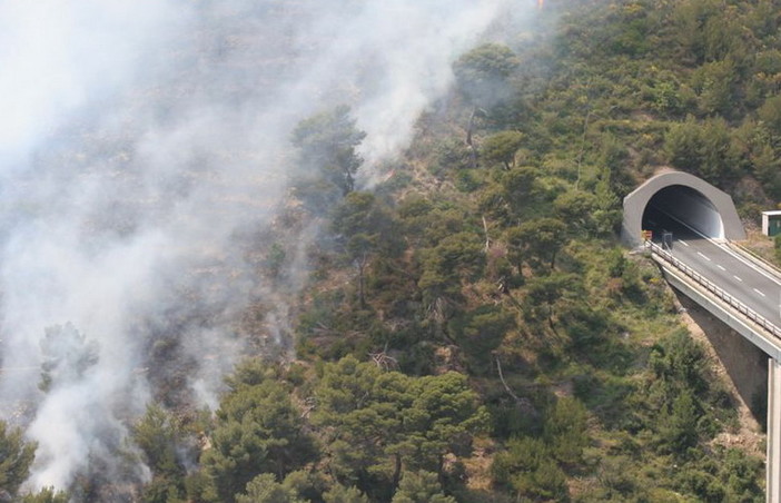 Pieve di Teco: incendio boschivo spento da Vigili del Fuoco e Forestale