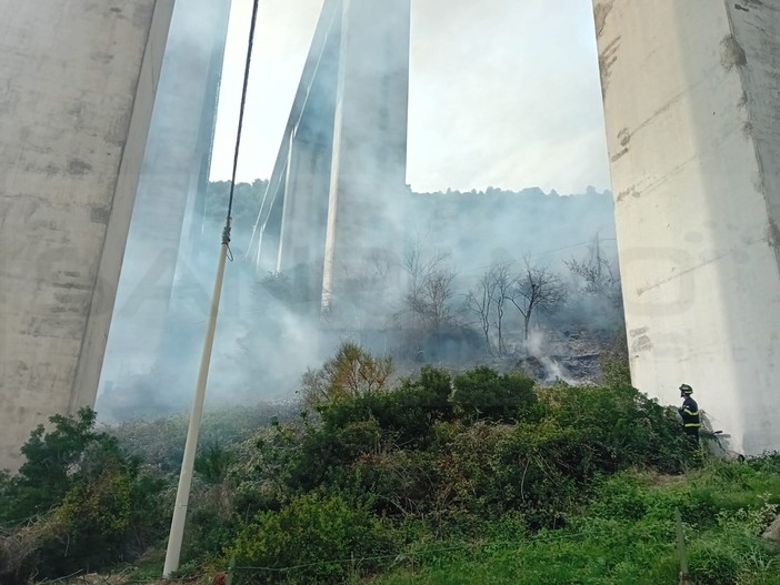 Vallecrosia, incendio di sterpaglie sotto il ponte dell'autostrada: salve le abitazioni (Foto e video) Vallecrosia, incendio di sterpaglie sotto il ponte dell'autostrada: salve le abitazioni (Foto e video)