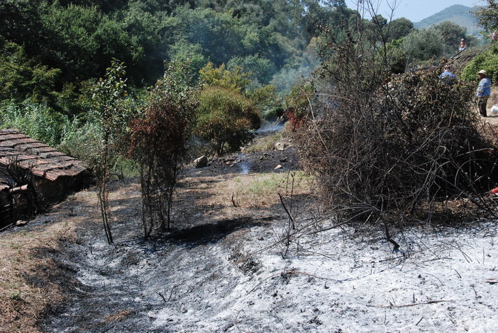 Ventimiglia: piccolo incendio di sterpaglie, questa mattina poco prima di mezzogiorno in località San Rocco Ventimiglia: piccolo incendio di sterpaglie, questa mattina poco prima di mezzogiorno in località San Rocco