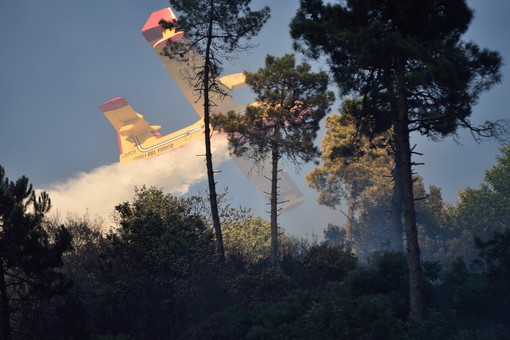 Canadair da Genova, Olbia e Ciampino per spegnere l'incendio sul Faudo: bruciati 30 ettari di bosco e pascolo