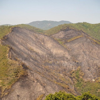 Ha ripreso a bruciare la zona collinare di Taggia: intervento di Vigili del Fuoco e Protezione Civile