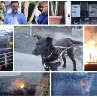Bordighera: incendio alla 'Playa Argentina', potrebbe essere accidentale. Miracolosamente salvo il cane 'Ettore' (Foto e Video)