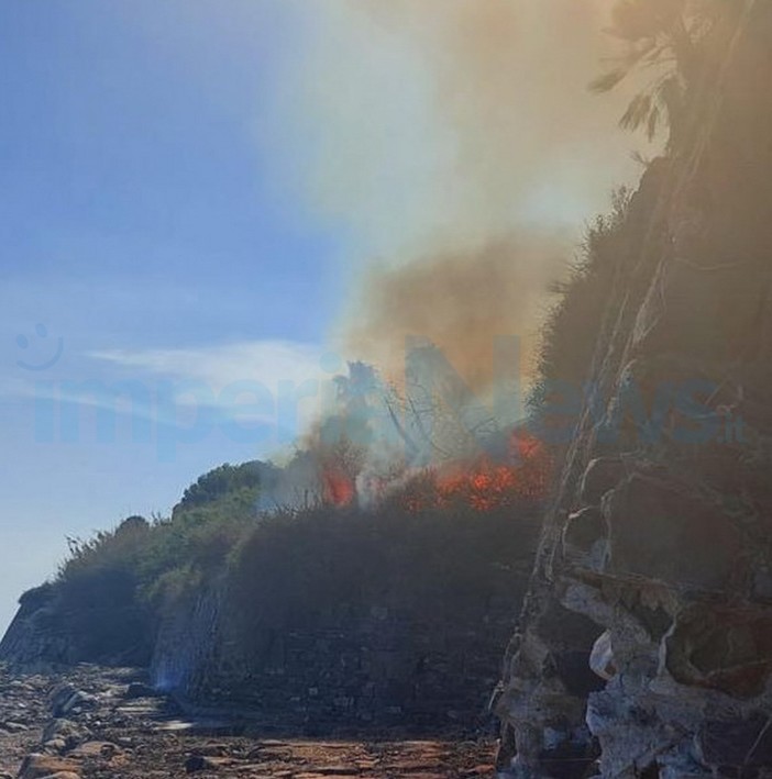 Costarainera: fiamme in un canneto sotto il 'Barellai', intervento dei Vigili del Fuoco (Foto) Costarainera: fiamme in un canneto sotto il 'Barellai', intervento dei Vigili del Fuoco (Foto)