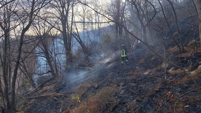 Incendi dolosi e sicurezza pubblica: la lettera di Teresa Barazzetti rilancia l’allarme sui “piromani” che agiscono nel comprensorio Incendi dolosi e sicurezza pubblica: la lettera di Teresa Barazzetti rilancia l’allarme sui “piromani” che agiscono nel comprensorio