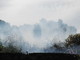 Cervo: 5mila metri di bosco in fumo quest'oggi vicino al villaggio 'Solemar' Cervo: 5mila metri di bosco in fumo quest'oggi vicino al villaggio 'Solemar'