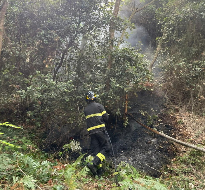 Il pronto intervento dei Vigili del Fuoco Il pronto intervento dei Vigili del Fuoco