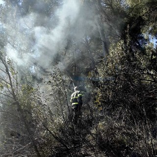 Le immagini dal luogo dell'incendio