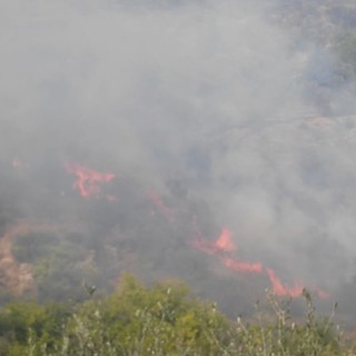 Imperia: devastante incendio sulla collina di Costa d'Oneglia, intervento di Vigili del Fuoco ed elicotteri (Foto e video)