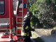 Incendio di sterpaglie oggi pomeriggio sulla Statale 20 subito spento dai pompieri di Ventimiglia Incendio di sterpaglie oggi pomeriggio sulla Statale 20 subito spento dai pompieri di Ventimiglia