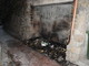 Imperia: 4 cassonetti distrutti dal fuoco nella notte in via Amoretti, piccolo incendio di un furgone a Taggia Imperia: 4 cassonetti distrutti dal fuoco nella notte in via Amoretti, piccolo incendio di un furgone a Taggia