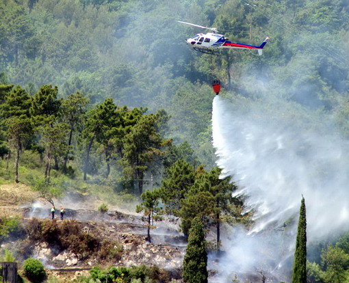 Dolcedo: incendio di sterpaglie divampato da poco vicino al cimitero, intervento di VVF e Forestale Dolcedo: incendio di sterpaglie divampato da poco vicino al cimitero, intervento di VVF e Forestale