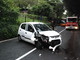 Sanremo: asfalto viscido, auto contro un albero. Ferita una 56enne Sanremo: asfalto viscido, auto contro un albero. Ferita una 56enne