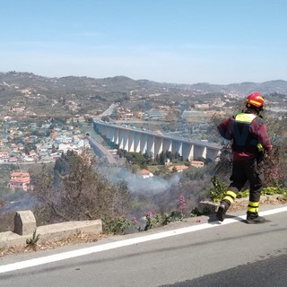 Imperia: incendio di sterpaglie sulla strada per Poggi, intervento dei Vigili del Fuoco (Foto)