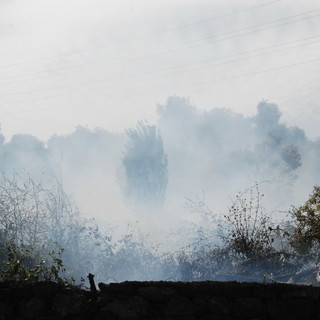 Cervo: 5mila metri di bosco in fumo quest'oggi vicino al villaggio 'Solemar'