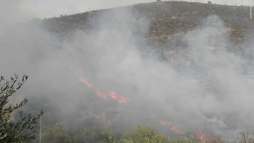 Imperia: sotto controllo il devastante incendio divampato nel pomeriggio a Costa d'Oneglia. Vigili del Fuoco ancora in azione (Foto e Video) Imperia: sotto controllo il devastante incendio divampato nel pomeriggio a Costa d'Oneglia. Vigili del Fuoco ancora in azione (Foto e Video)