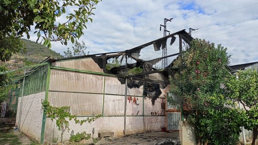 Camporosso: rogo di sterpaglie in un bidone 'scappa' a un agricoltore, serra parzialmente distrutta (Foto)