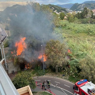 Ventimiglia: incendio nel primo pomeriggio alla vegetazione nell'oasi del Nervia, intervento dei VVF (Foto) Ventimiglia: incendio nel primo pomeriggio alla vegetazione nell'oasi del Nervia, intervento dei VVF (Foto)