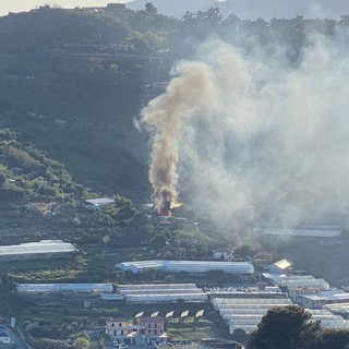 Sanremo: incendio in una campagna di Valle Armea a Bussana, intervento dei Vigili del Fuoco (Foto)