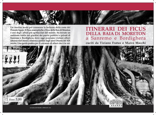 Sanremo: un modo diverso per conoscere le bellezze del ponente ligure e le sue piante Sanremo: un modo diverso per conoscere le bellezze del ponente ligure e le sue piante