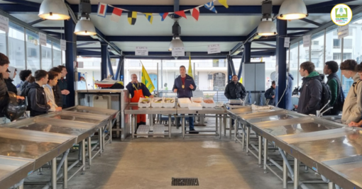 Giornata del Mare 2024, Coldiretti: “Pescatori custodi di un intero ecosistema”