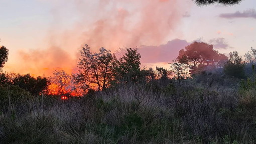 Allerta incendi a Bordighera: la Polizia locale ricorda i divieti per prevenire gli incendi boschivi