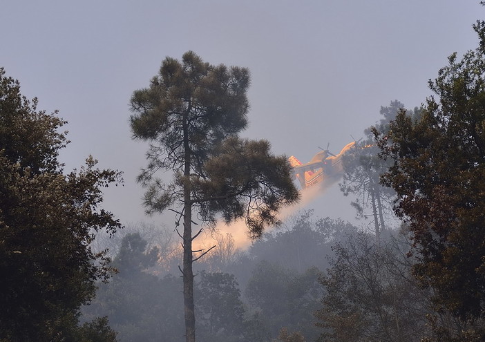 Misure di prevenzione e di contrasto al fenomeno degli  incendi boschivi: oggi riunione in Prefettura