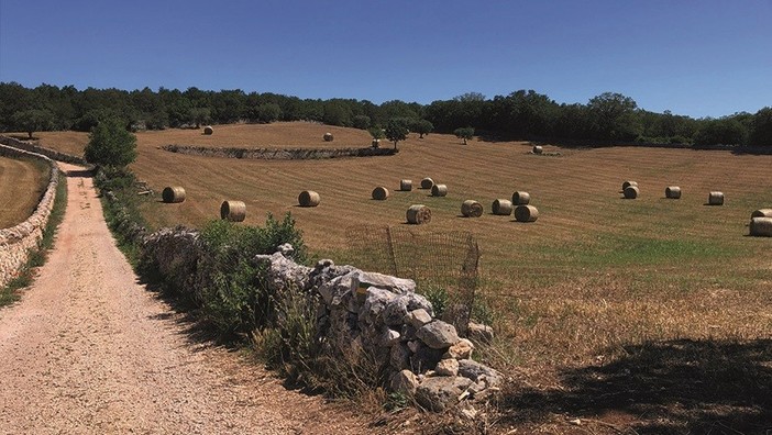 Il Cammino Materano, intervista a Giorgio: a spasso tra Puglia e Basilicata Il Cammino Materano, intervista a Giorgio: a spasso tra Puglia e Basilicata