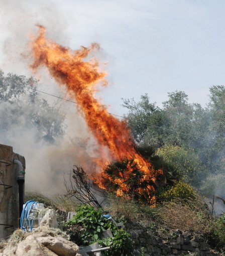 Bordighera: incendio di sterpaglie in zona Coggiola, VVF sul posto