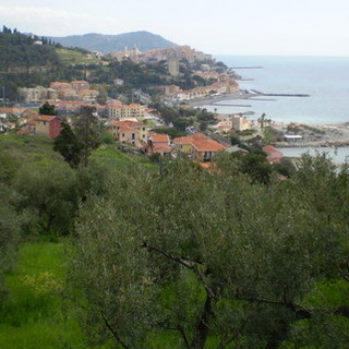 Anche la Cgil della nostra provincia parteciperà alle manifestazioni di venerdì a difesa dell'ambiente Anche la Cgil della nostra provincia parteciperà alle manifestazioni di venerdì a difesa dell'ambiente