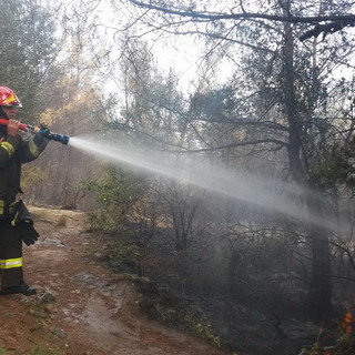 Ventimiglia: nuovo incendio a La Mortola vicino alla ferrovia, quasi spento e traffico ferroviario senza problemi (Foto)