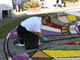 Santo Stefano al Mare: le foto e il commento dell'infiorata di quest'oggi Santo Stefano al Mare: le foto e il commento dell'infiorata di quest'oggi