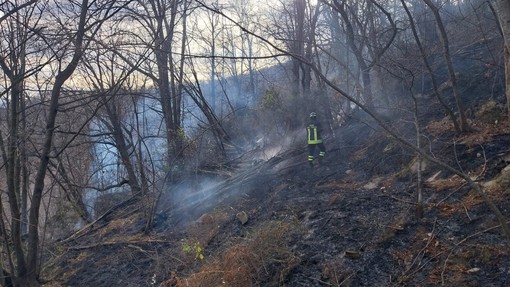 Incendi dolosi e sicurezza pubblica: la lettera di Teresa Barazzetti rilancia l’allarme sui “piromani” che agiscono nel comprensorio Incendi dolosi e sicurezza pubblica: la lettera di Teresa Barazzetti rilancia l’allarme sui “piromani” che agiscono nel comprensorio