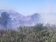 Incendio nel parco pubblico del Ciapà a Cervo: i ringraziamenti dell'Amministrazione ai soccorritori