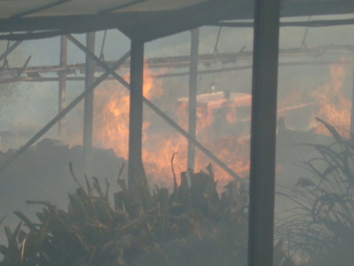 Poggi: vasto incendio minaccia le case, intossicati due Vigili del Fuoco