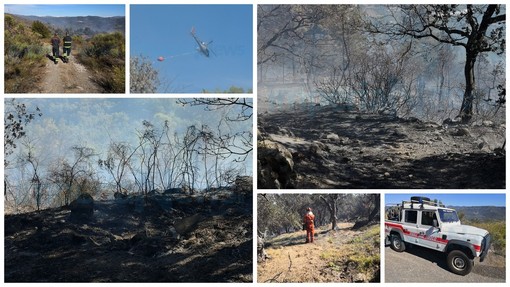 Dolcedo: bruciano le colline da questa mattina, incendio in località Cinque Burche. Due elicotteri al lavoro (Foto) Dolcedo: bruciano le colline da questa mattina, incendio in località Cinque Burche. Due elicotteri al lavoro (Foto)