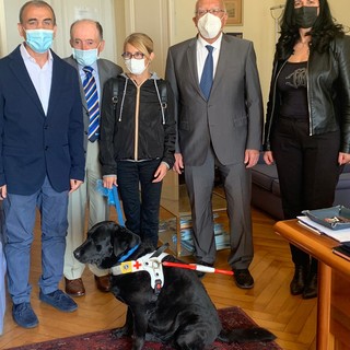 Le immagini dell'incontro