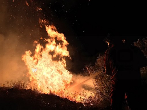 Pieve di Teco: incendio di bosco poco sopra San Bernardo di Conio, intervento dei Vigili del Fuoco